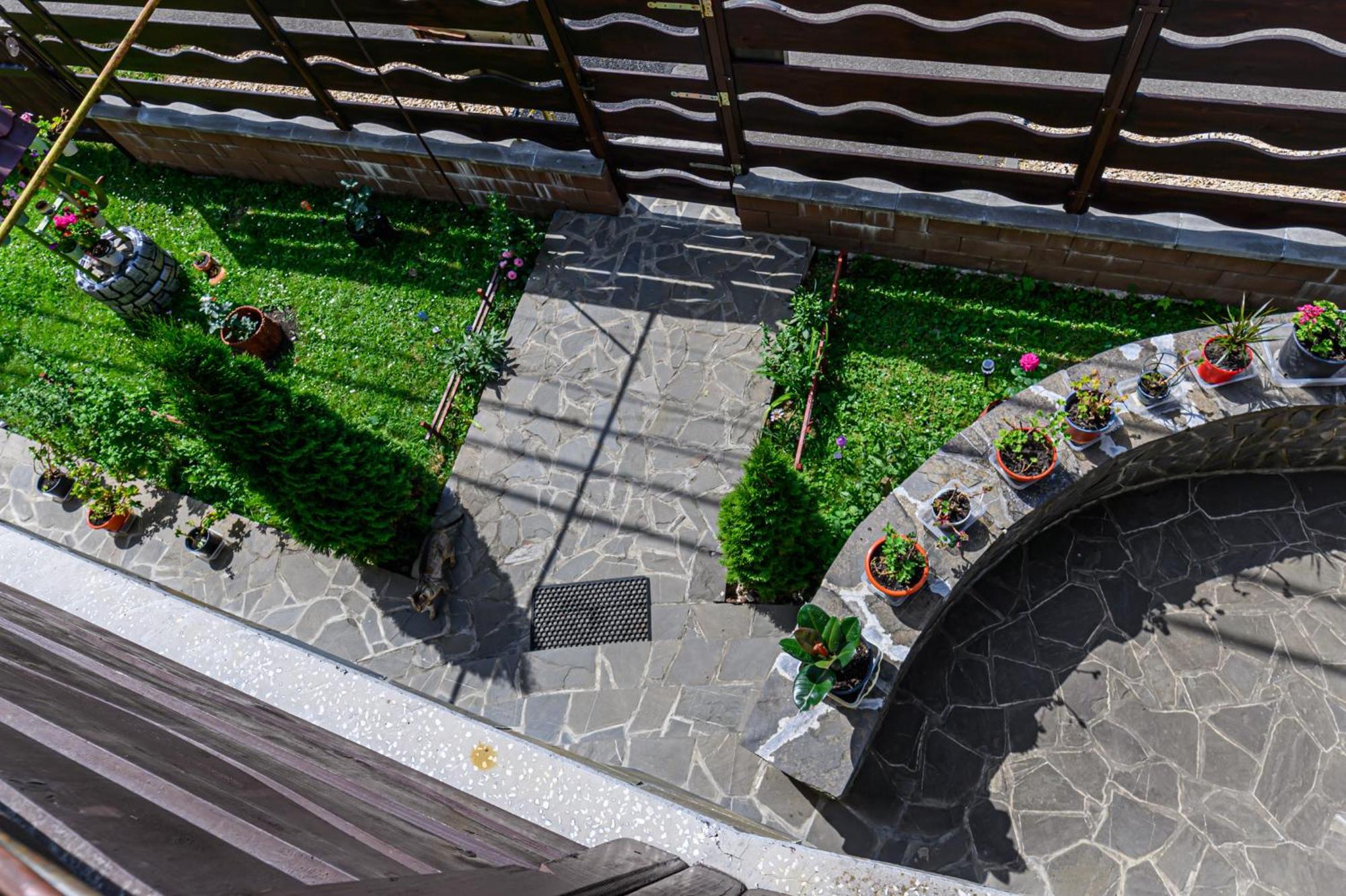 Casa Ramino Hotel Buşteni Exterior foto